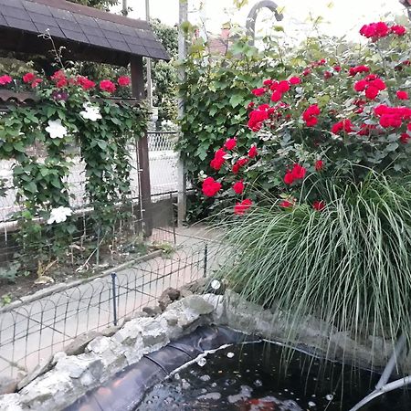 Apartment Zorec ماريبور المظهر الخارجي الصورة