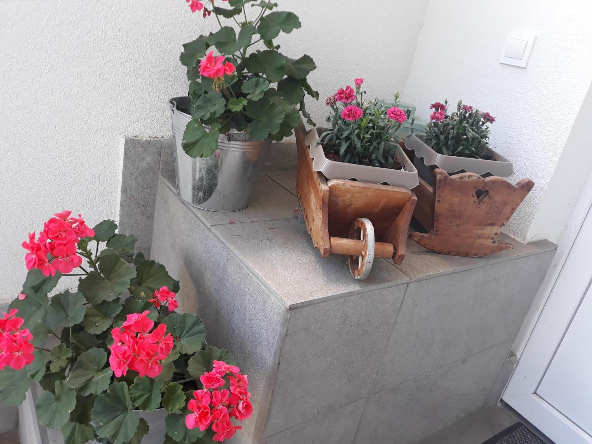 Apartment Zorec ماريبور المظهر الخارجي الصورة