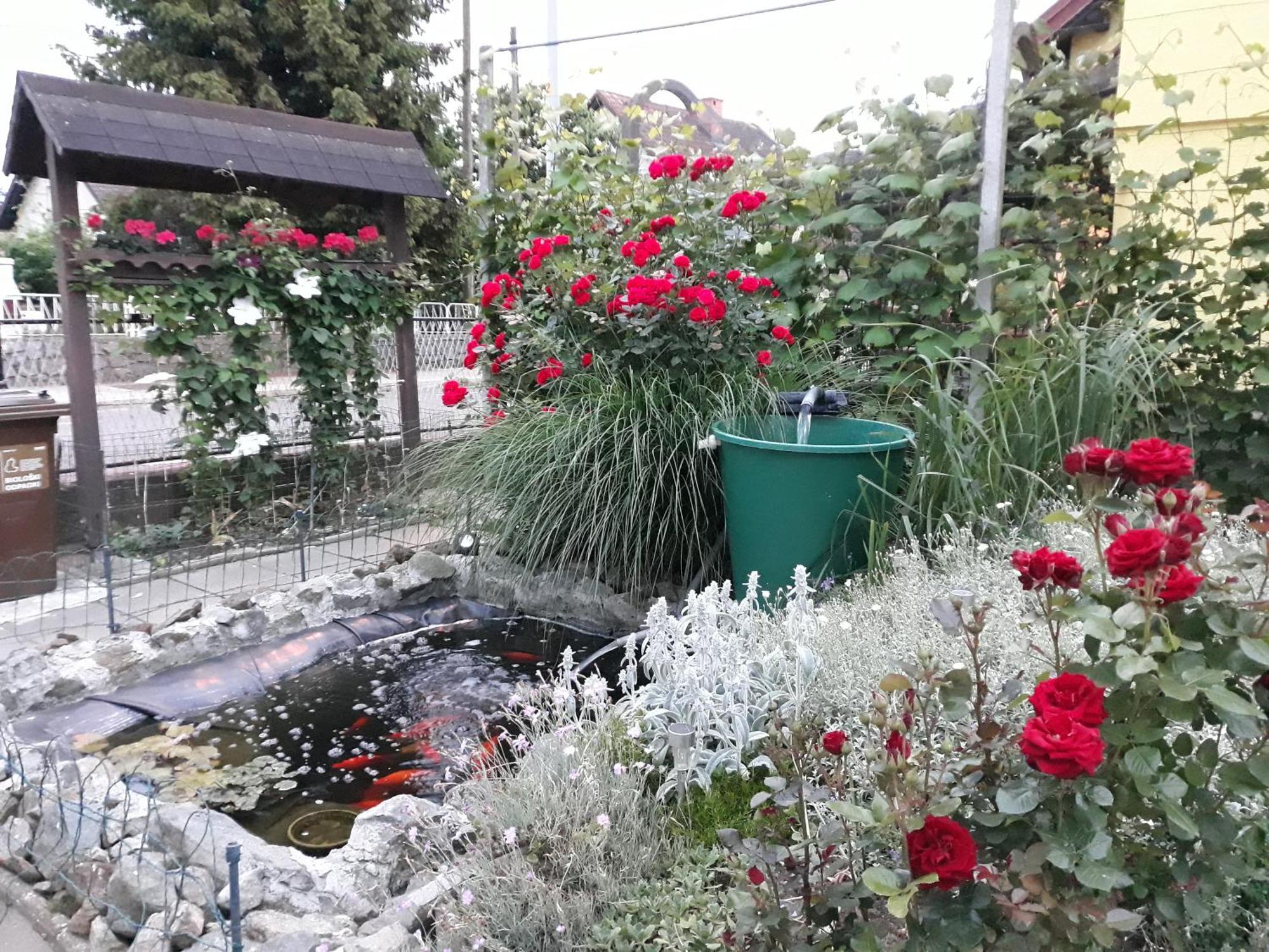 Apartment Zorec ماريبور المظهر الخارجي الصورة